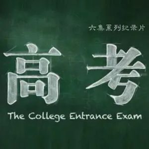 高考 The College Entrance Exam 2015 [6集][央视纪录片][国语配音中文字幕][1080P]