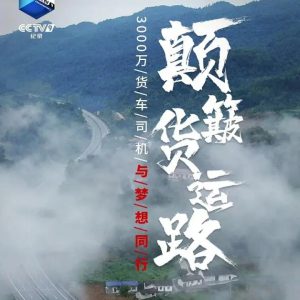 颠簸货运路 3000万火车司机与梦想同行 2020 [10集][央视纪录片][国语配音中文字幕][1080P]