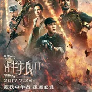 战狼2 (2017)
