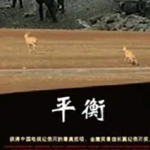 平衡 2000 [彭辉纪录片][豆瓣9.4][原声配音中文字幕][1080P]