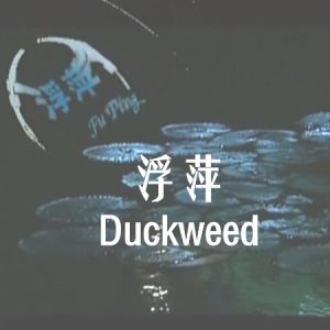 浮萍 Duckweed 1993 [彭辉纪录片][豆瓣8.0][原声配音中文字幕][720P]