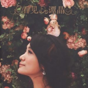 谭晶2013 – 看见[金牌大风][WAV+CUE]