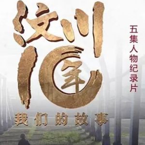 汶川十年·我们的故事 2015 [5集][央视纪录片][国语配音中文字幕][1080P]
