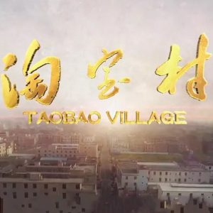 淘宝村 2019 [5集][央视纪录片][国语配音中文字幕][1080P]