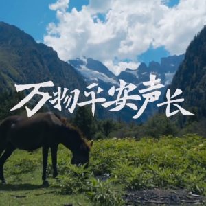 李健2022-万物平安声长 音乐会