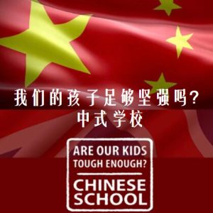我们的孩子足够坚强吗？中式学校 [3集][英语中字][720P]