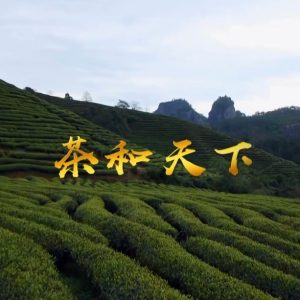 茶和天下 2019 [全4集][国语中字][1080P]