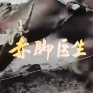 赤脚医生 Barefoot Doctor [1集][英语中字][1080P]