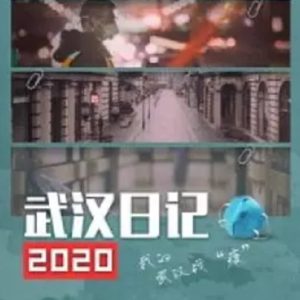 武汉日记 2020 [1集][央视新闻纪录片][国语中字][1080P]