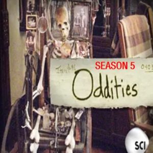 奇异世界/古物奇谭 Oddities [第五季共15集][原声中字][1080P]