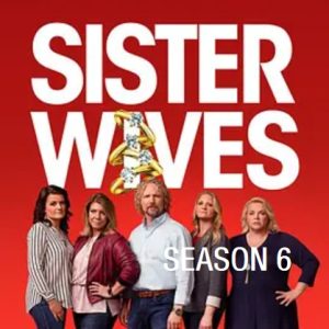 我的妻子们是好姐妹 Sister Wives [第六季共20集[英语中字][1080P]
