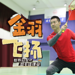 陈金 羽毛球教学[3套][金羽飞扬+儿童教学+加赠教学]