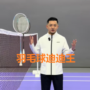 迪迪王 羽毛球教学[3套][双打技战术+羽球进阶提升+假动作技术]