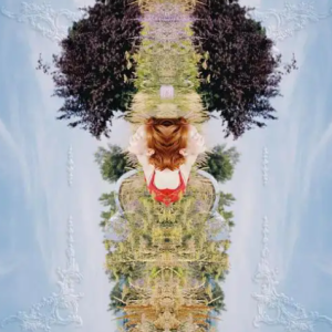 洪佩瑜2025-《开》[24bit-FLAC]