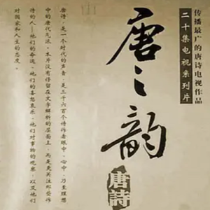 唐之韵 2001[全20集][汉语中字][1080P]