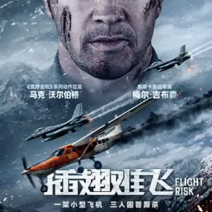 插翅难飞 Flight Risk (2025)