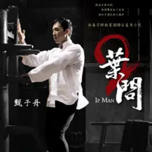 叶问2：宗师传奇 葉問2 (2010)