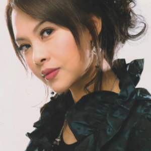 林子娟2011 – 心痛阮甘愿[乾坤][WAV+CUE]