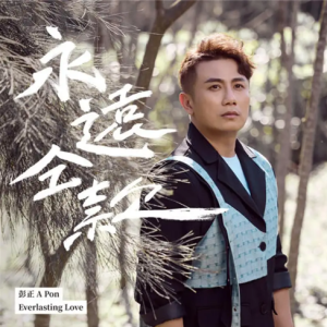 彭正2022 – 永远仝款[福茂][FLAC分轨]