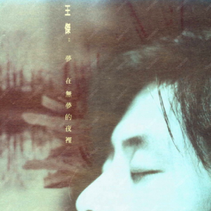 王杰1995 – 梦在无梦的夜里[飞碟][WAV+CUE]