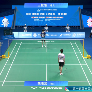 2025年 第十五届全运会 女单决赛 王祉怡 vs 陈雨菲
