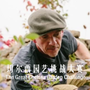 切尔西园艺挑战大赛/切尔西花卉展 The Great Chelsea Garden Challenge (2015)[4集][园艺纪录片][英语中字][1080P]