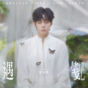 徐均朔2025 – 遇笺[青春繁花][FLAC分轨]