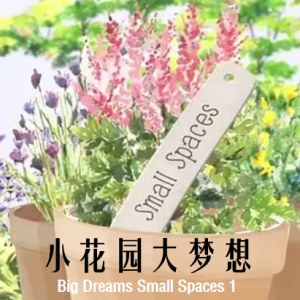 小花园大梦想 Big Dreams Small Spaces 2014[第一季 全5集][BBC纪录片][英语配音中文字幕][720P]