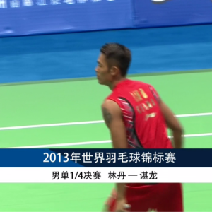 2013年 世界锦标赛 男单 QF 林丹[中国] vs [中国]谌龙
