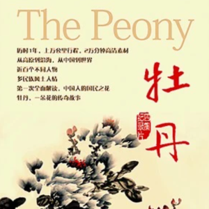 牡丹 [4集][央视纪录片][国语配音中文字幕][1080P]