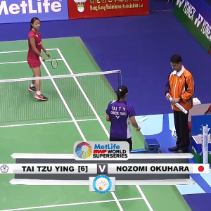 2014年 香港公开羽毛球锦标赛 女单 F 戴资颖[中国台北] vs [日本]奥原希望