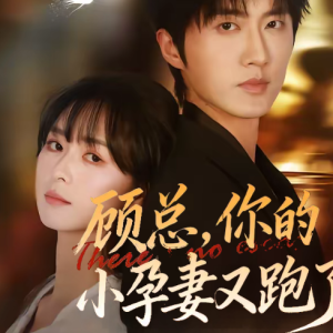 顾总，你的小孕妻又跑了（47集）马薇＆顾天逸
